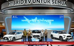 Toyota Hybrid EV 0811677732